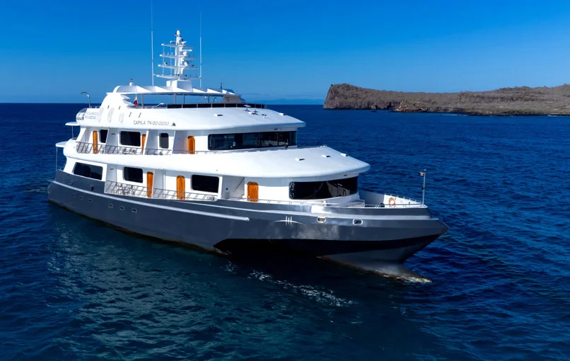 Horizon cruise
